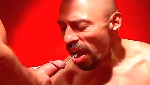 Ta commitment midnight massaged and fuck