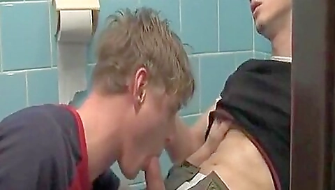 The training of alows