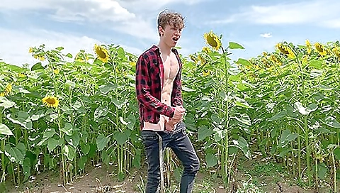 Free Facial Porn Videos - yessaygay.com